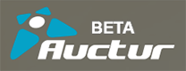 auctur.com